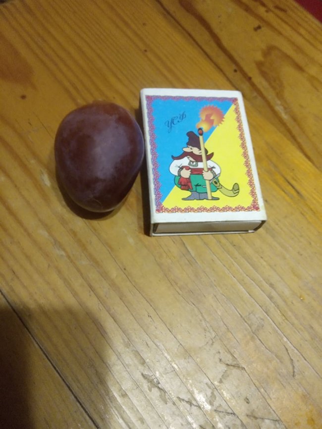 Садівник з Волині вирощує виноград, фісташки і пасифлору 