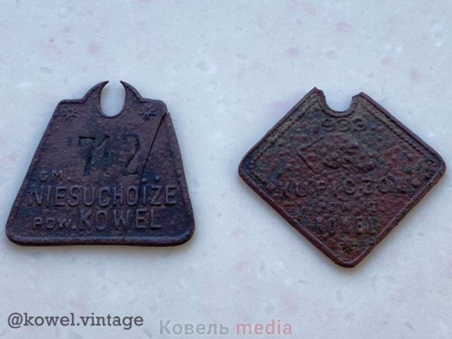 Показали, якими на Волині були собачі жетони у 30-х роках минулого століття. ФОТО 