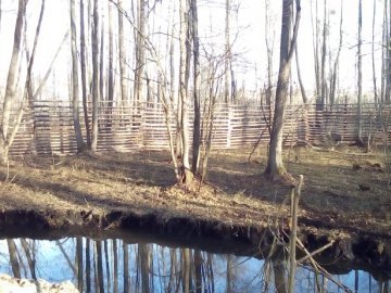 На Волині олені зимуватимуть у комфорті