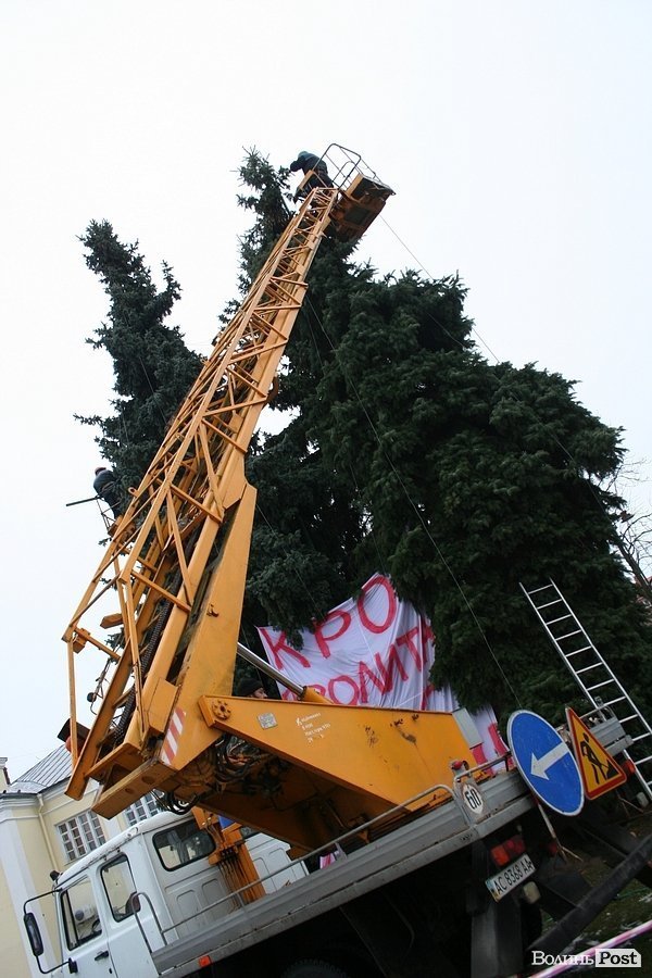 Головні ялинки Луцька почали прикрашати. ФОТО