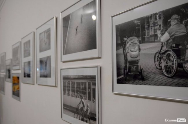 День народження «Там Таму» і порятунок пса. Добрі новини Волині