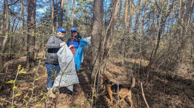 Ліс біля Луцька розчистили від сміття. ВІДЕО