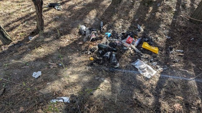 Ліс біля Луцька розчистили від сміття. ВІДЕО