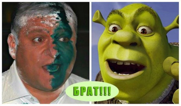 Інтернет знущається з Добкіна, облитого зеленкою. ФОТО