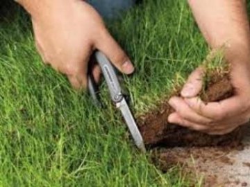 І ставок, і млинок: волинські прокурори відсудили ділянку за 800 тисяч