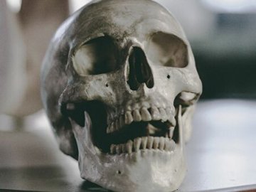 Посеред волинського міста виявили два черепи