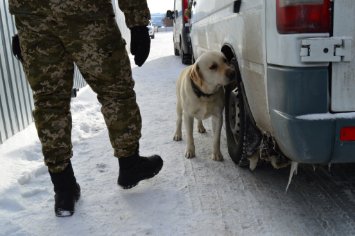 На «Ягодині» пес винюхав партію наркотиків