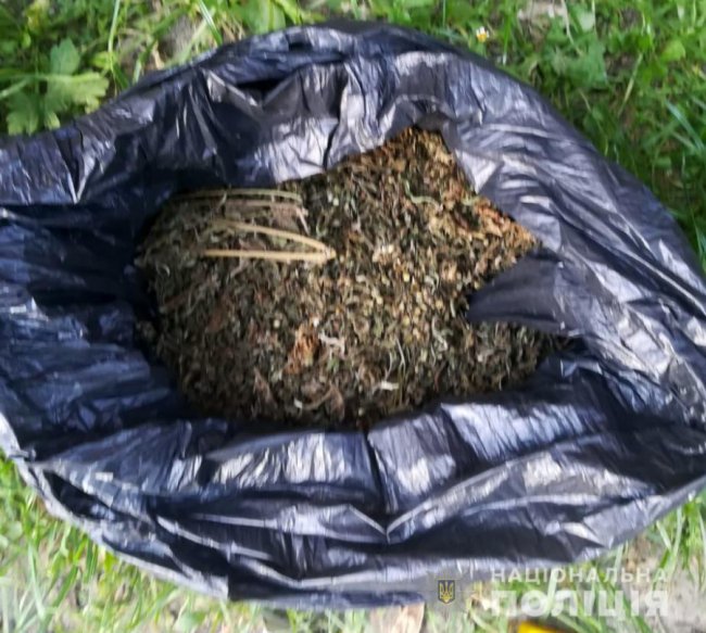 У гаражі лучанина знайшли бурштин та наркотики. ФОТО