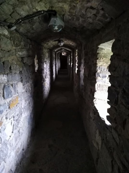 Волинська журналістка за 2 дні об'їздила 6 замків. ФОТО