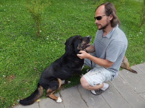 В зоопарку Луцька – емігрант із зони АТО. ФОТО