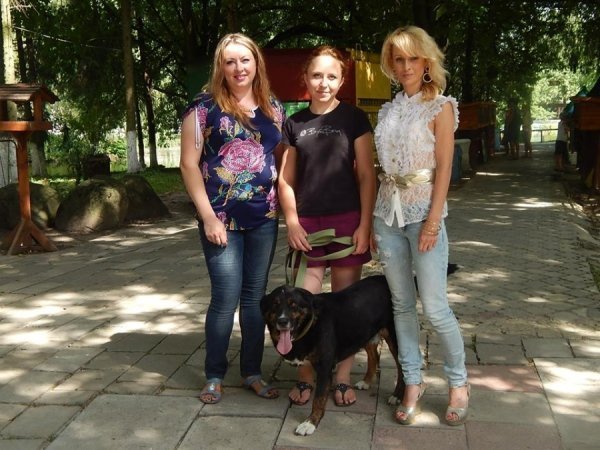 В зоопарку Луцька – емігрант із зони АТО. ФОТО