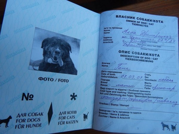 В зоопарку Луцька – емігрант із зони АТО. ФОТО