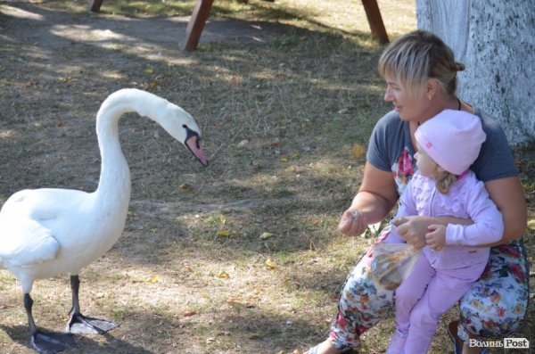 Лучани похвалились зоопарком перед гостями з інших міст. ФОТО