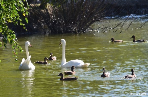 Лучани похвалились зоопарком перед гостями з інших міст. ФОТО