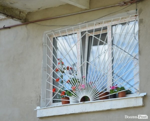 Місто, яке я люблю. Квіти Луцька