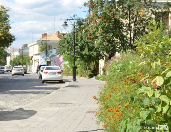 Місто, яке я люблю. Квіти Луцька