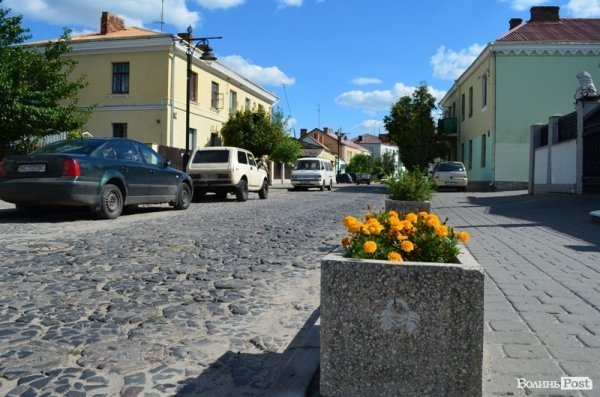 Місто, яке я люблю. Квіти Луцька