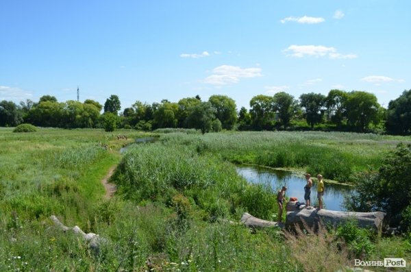 Відпочинок під Луцьком. Річка Чорногузка. ФОТО