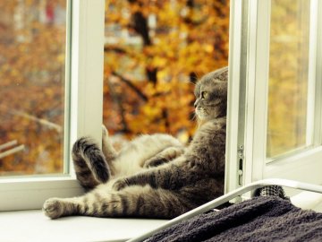 Як приборкати осінню хандру: поради психолога