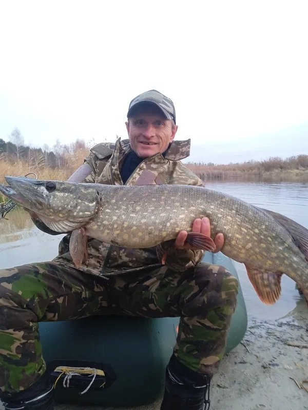 Порадував трофейчик: рибалка з Луцька упіймав гігантську щуку