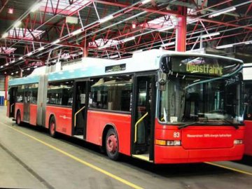 У Луцьку не закупили «секонд-хенд» тролейбуси, бо інвесторів «зашугали»