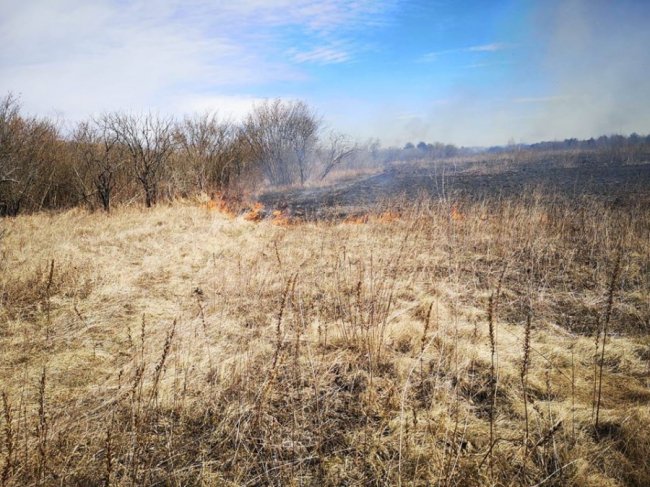 На Волині лісівники гасили підпали сухої трави