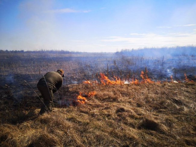 На Волині лісівники гасили підпали сухої трави
