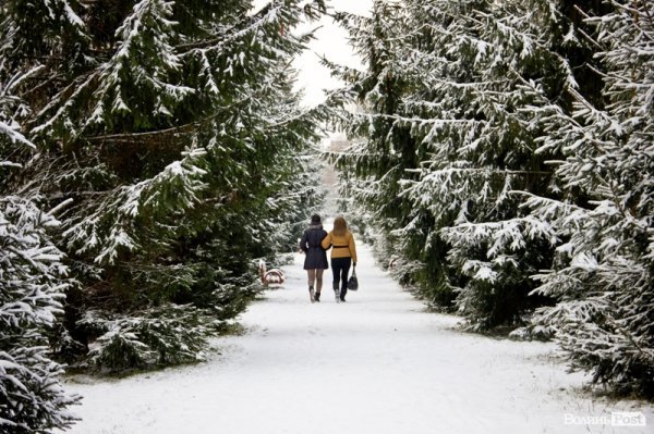 У Луцьк прийшла справжня зима. ФОТО