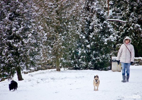 У Луцьк прийшла справжня зима. ФОТО