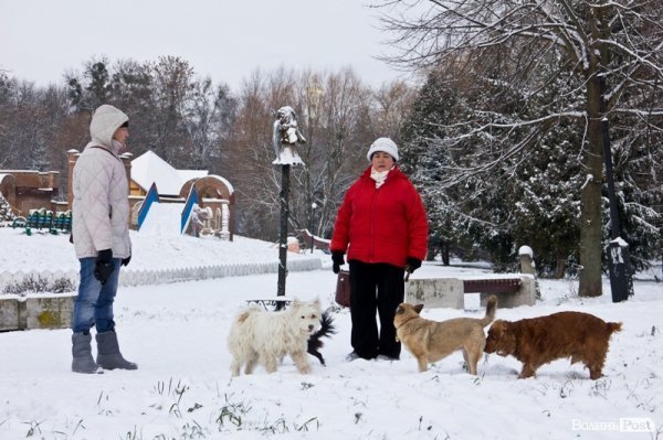 У Луцьк прийшла справжня зима. ФОТО