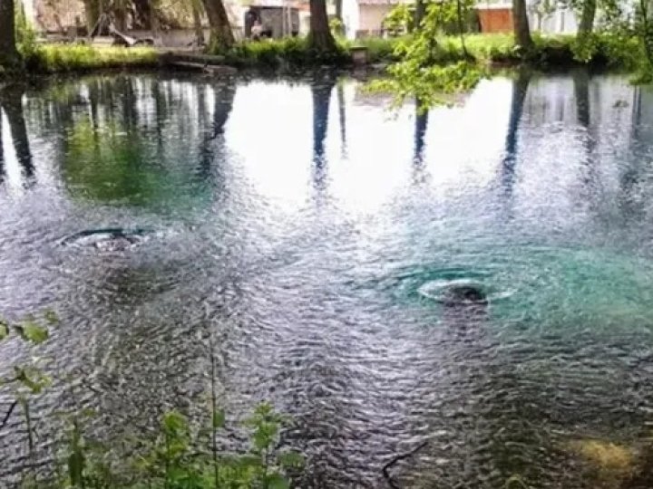 Вода зеленіє і плаває дохла риба: унікальні Оконські джерела зникли