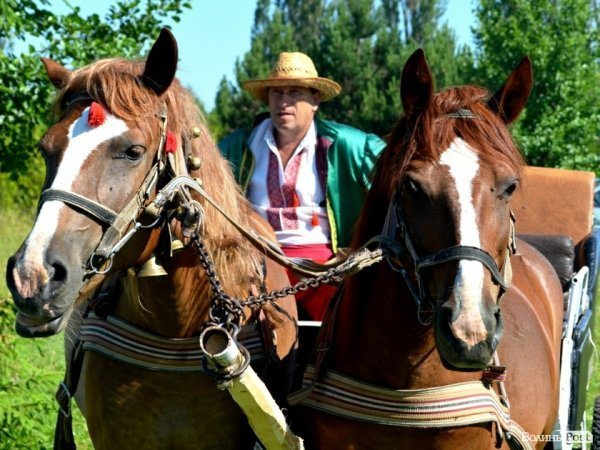 Козаки, молитва, шашлики: річниця битви під Берестечком. ФОТО. ВІДЕО