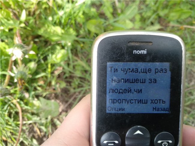 «Думаю, ти не хтіла б бачити дочку інвалідом»: журналістці з Волині далі погрожують