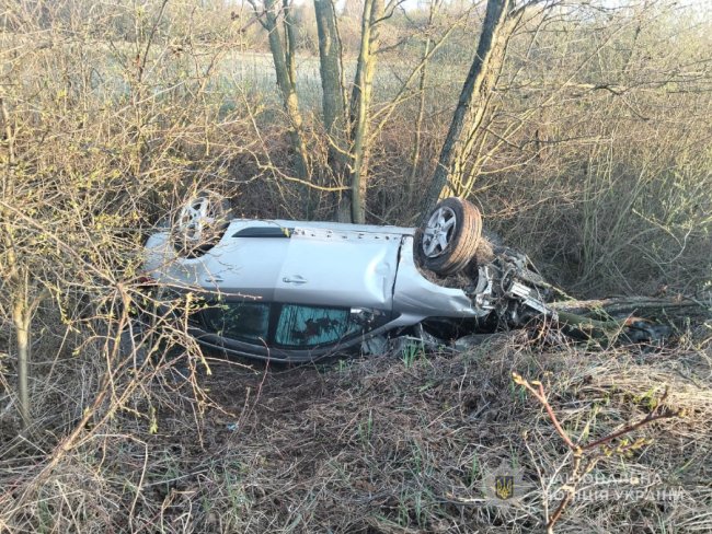 З’їхав у кювет і зіткнувся з деревом: деталі аварії, у якій загинув 33-річний лучанин