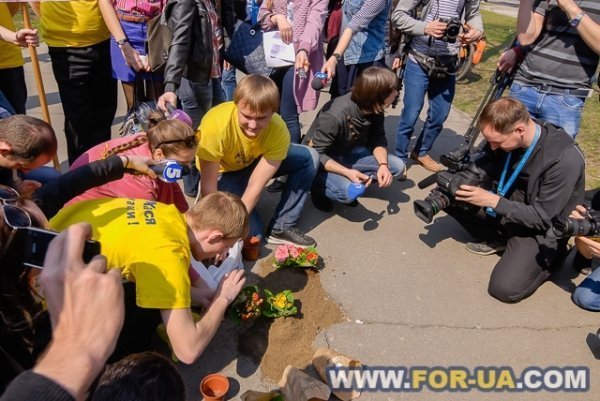 У Києві в ями на дорогах садили квіти. ФОТО