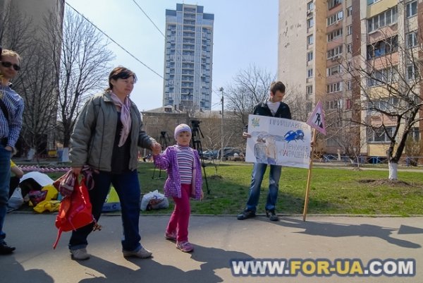 У Києві в ями на дорогах садили квіти. ФОТО