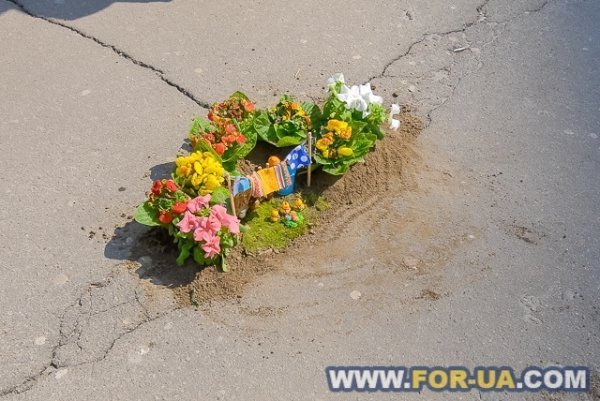 У Києві в ями на дорогах садили квіти. ФОТО