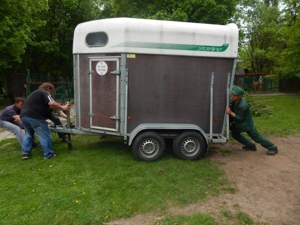 У луцькому зоопарку − новий мешканець. ФОТО