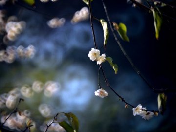 Погода у Луцьку на завтра, 25 квітня