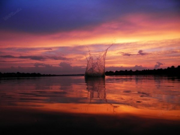 Мар'янівське озеро. Фото було зроблене під час велопрогулянки, а точніше відпочинку. Ми знайшли (я і мій друг) невеликий камінь, і я зловив момент, коли камінь ввійшов у воду :) 4 липня 2013 року, 20:40, смт. Мар'янівка. Автор – Володимир Устяк.