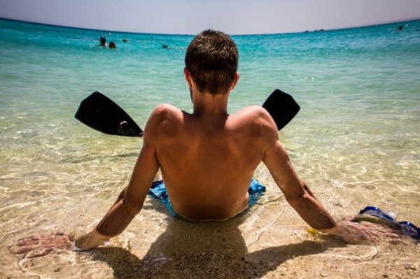 Райська насолода. Райський острів, Єгипет Серпень, 2009 Автор Володимир Хомич