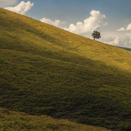 Windows Hills. Після купальської нічної ватри ходили пастись на чорницю. Хтось запропонував піднятись на гору...  7 липня 2013 року, Шипіт, Закарпаття Автор Микола Матвіюк