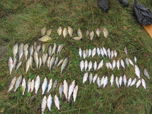 На Волині судили браконьєрів. ФОТО