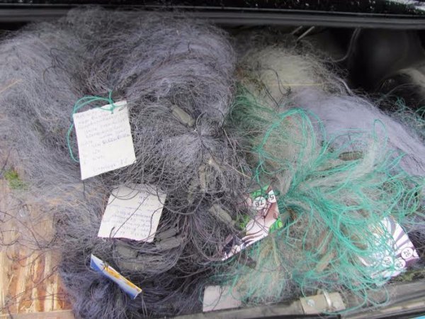 На Волині судили браконьєрів. ФОТО