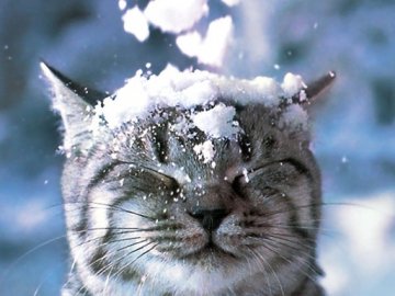 Погода у Луцьку на завтра, 27 листопада