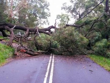 Луцькому підприємству дали гроші на ліквідацію наслідків негоди