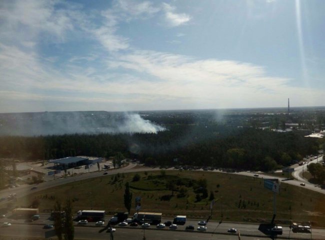 На окраїні Києва горить ліс