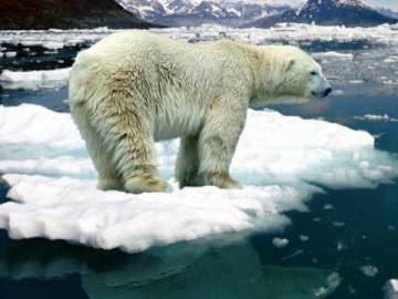 Клімат Землі змінюється за найгіршим сценарієм, – вчені