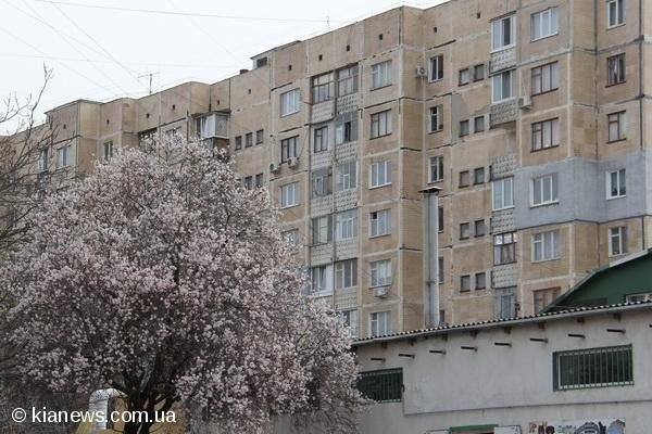 У Криму зацвіли дерева. ФОТО