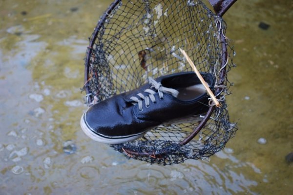 «Трофеї» луцьких фонтанів. ФОТО